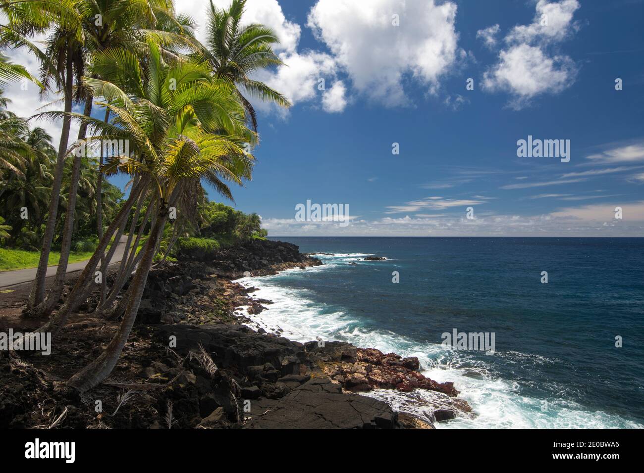 Palm trees and coastline on road side. Puna, south coast, Big Island Hawaii Stock Photo
