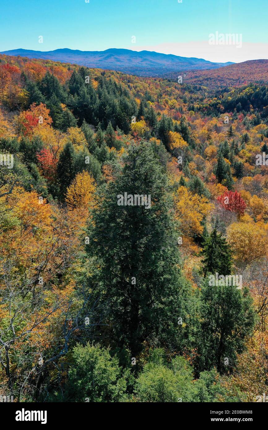 Peak Fall Foliage 2025 Vermont Elane Emmaline