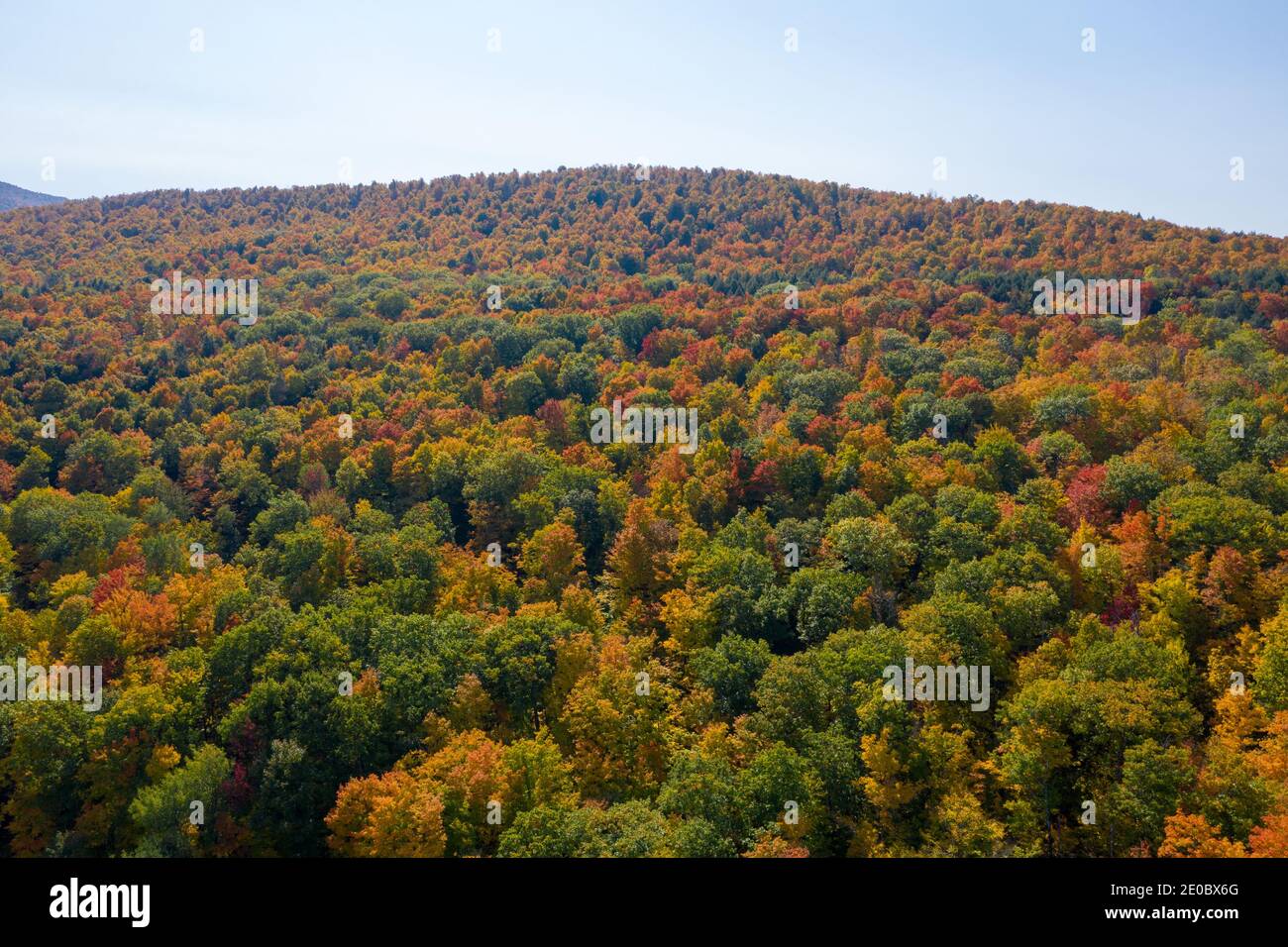 Aerial view of fall foliage along the Catskill Mountains in upstate New