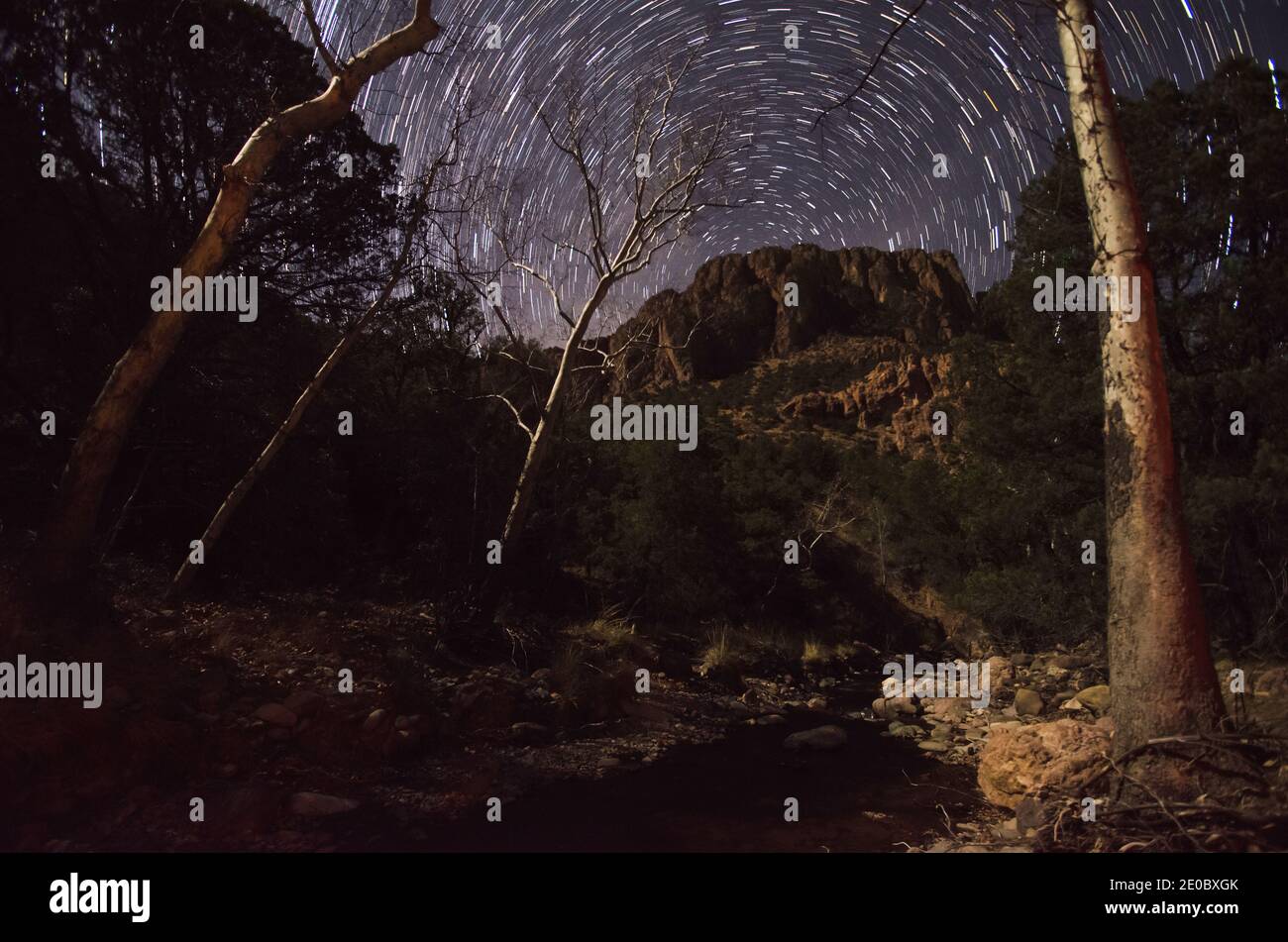Chiricahua Mountain Star Trails Stock Photo