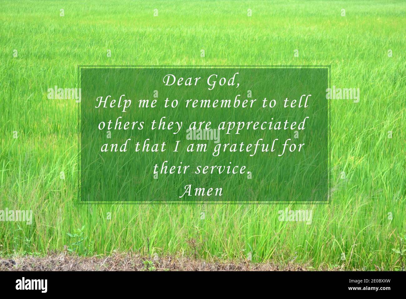 Prayer quote with blurred paddy field image. Dear God, help me to ...