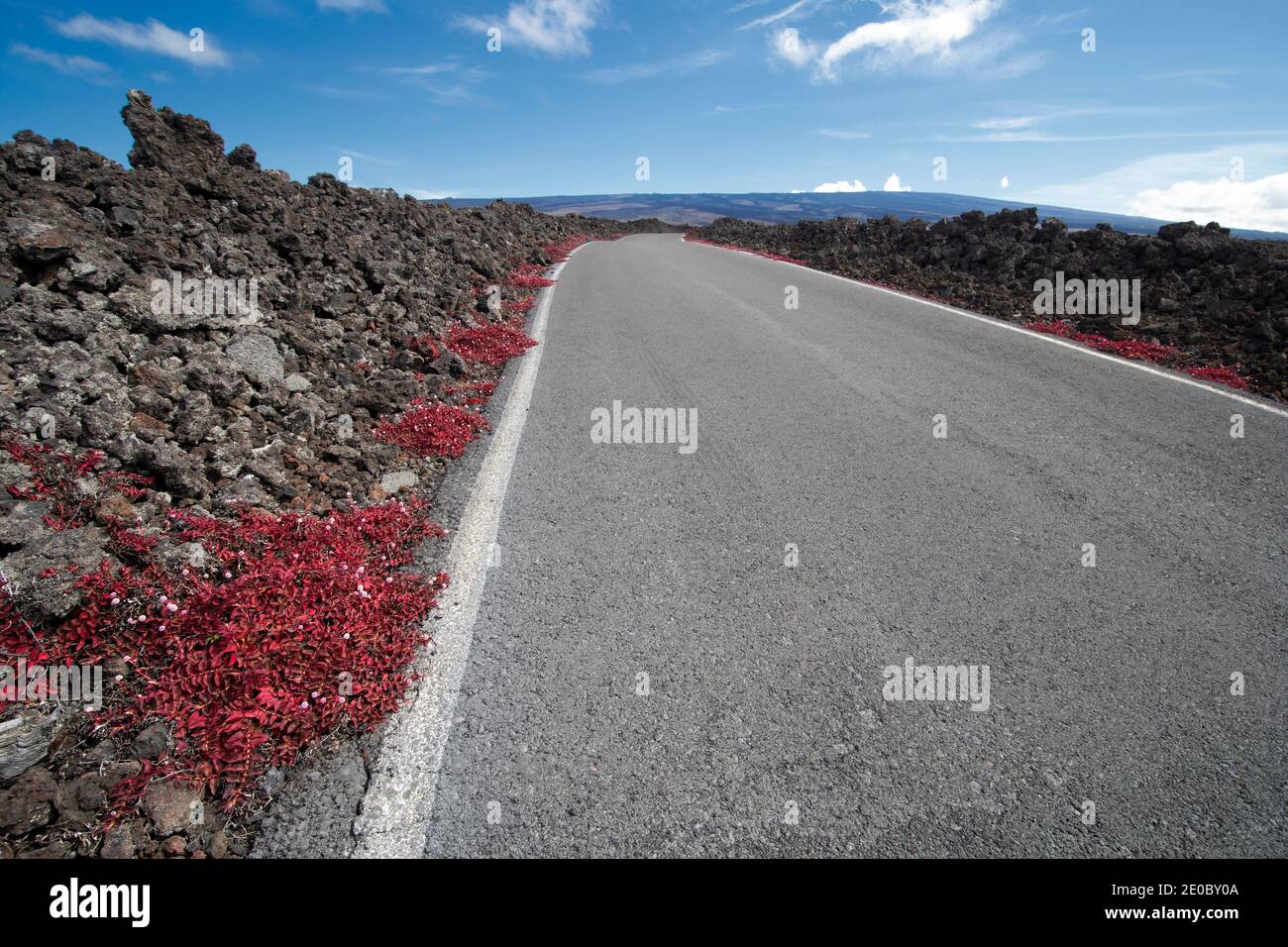 Road through lava fields, Mauna Loa Observatory Road. Big Island Hawaii Stock Photo