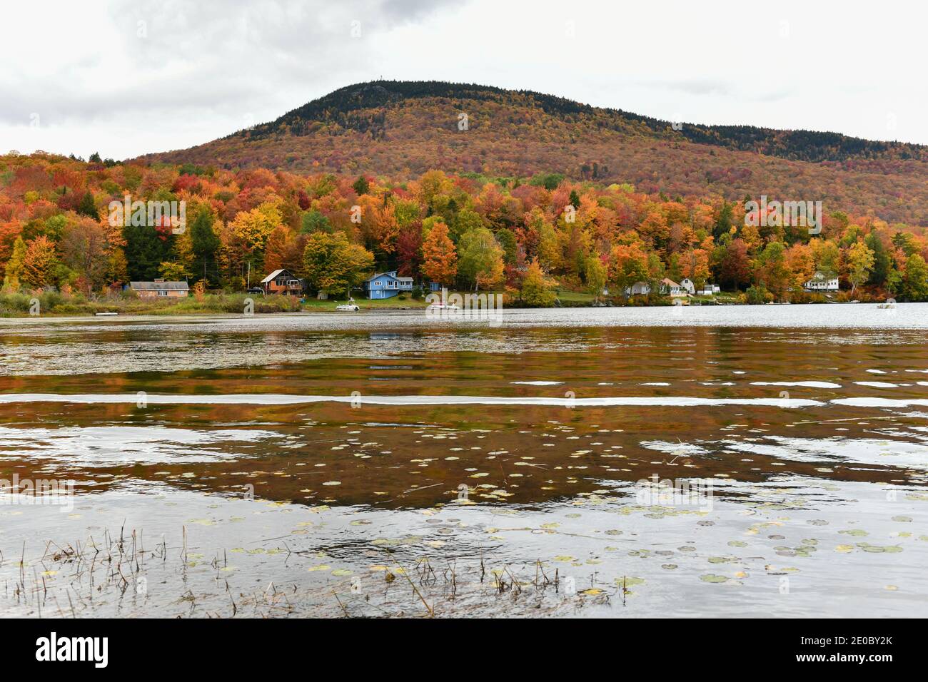 Overlooking of Lake Elmore State Part With Beautiful Autumn Foliage and