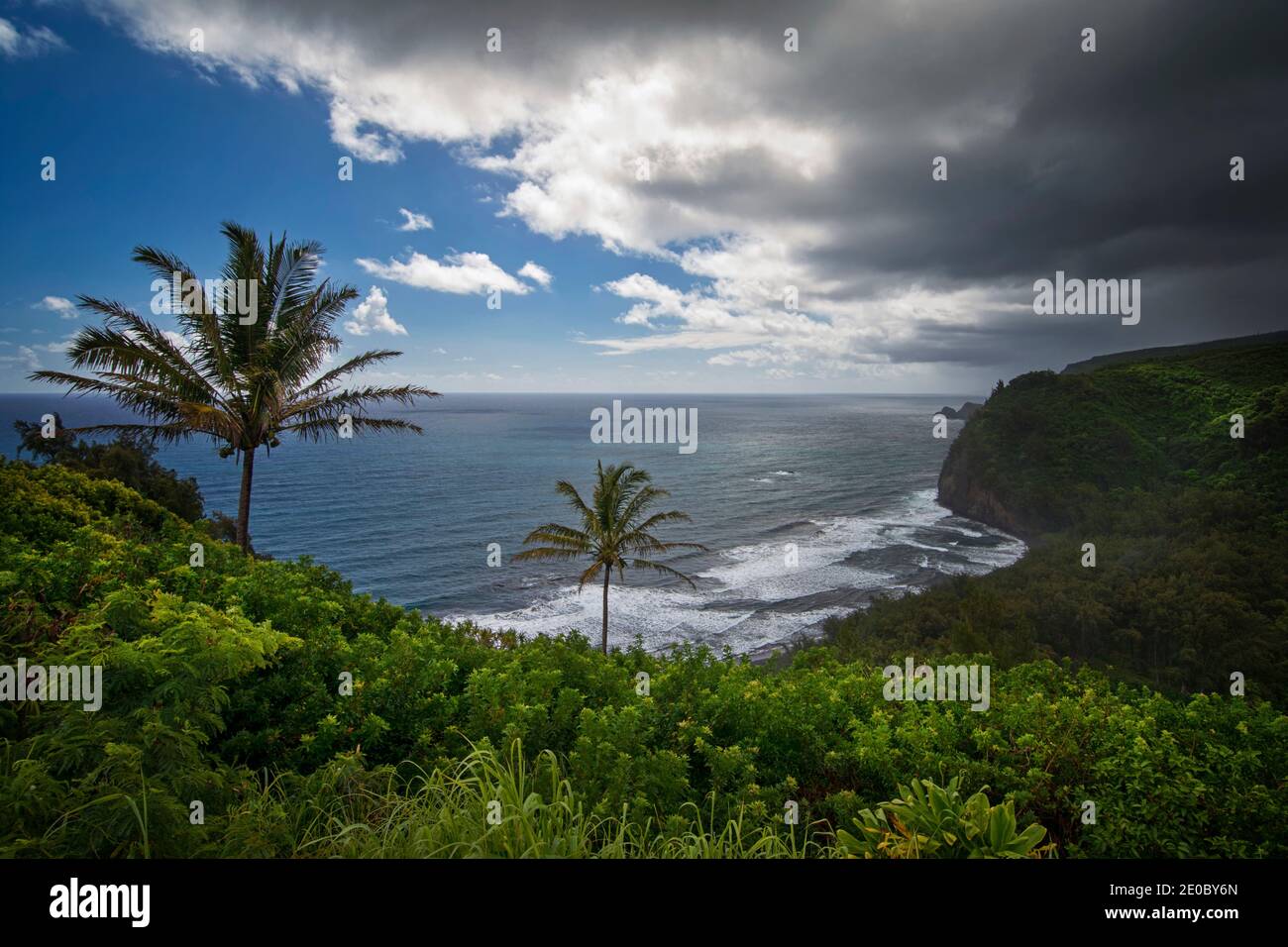 Pololu valley, from trail. Big Island Hawaii Stock Photo
