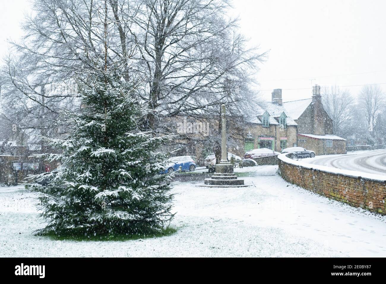 Shipton under Wychwood village Christmas tree in the snow. Shipton