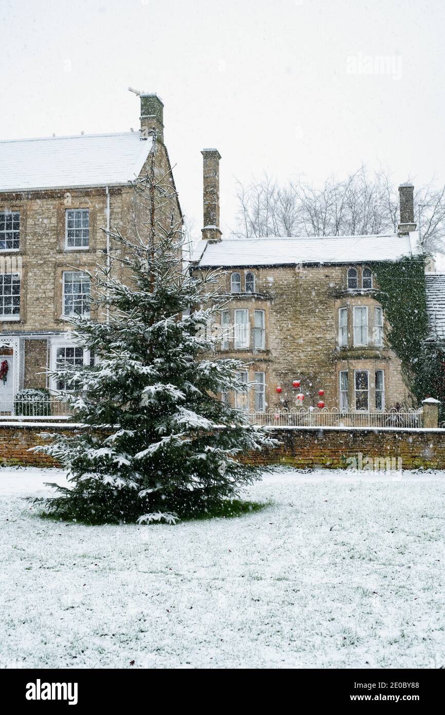Shipton under Wychwood village Christmas tree in the snow. Shipton under Wychwood, Cotswolds