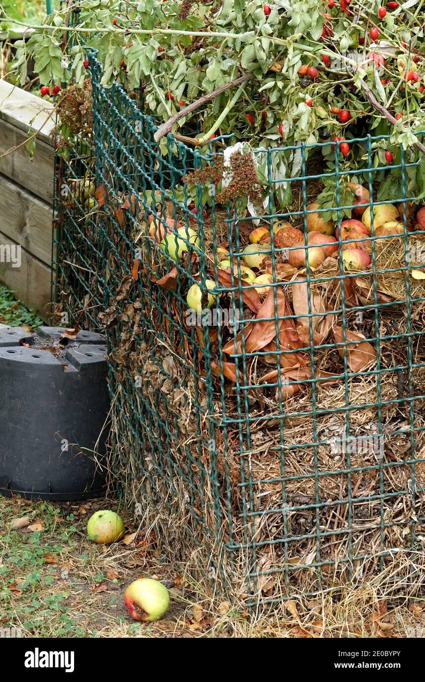 Compost bin garden Stock Photo
