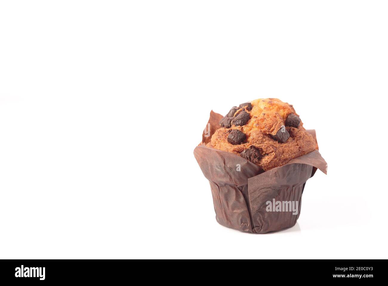 chocolate muffins isolated on a white background with copyspace. Stock Photo