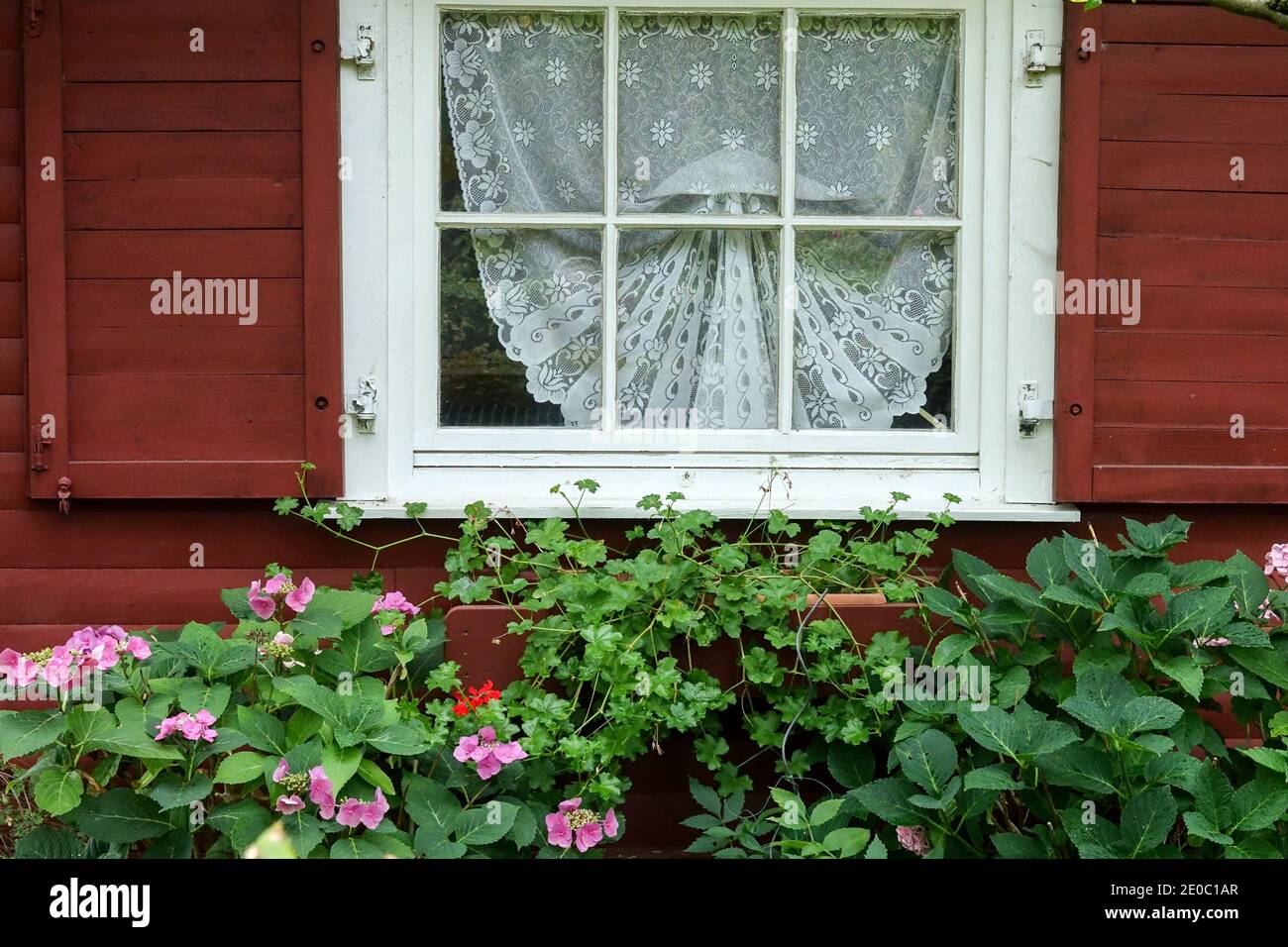 Suburb garden shed curtains in the window Germany Stock Photo