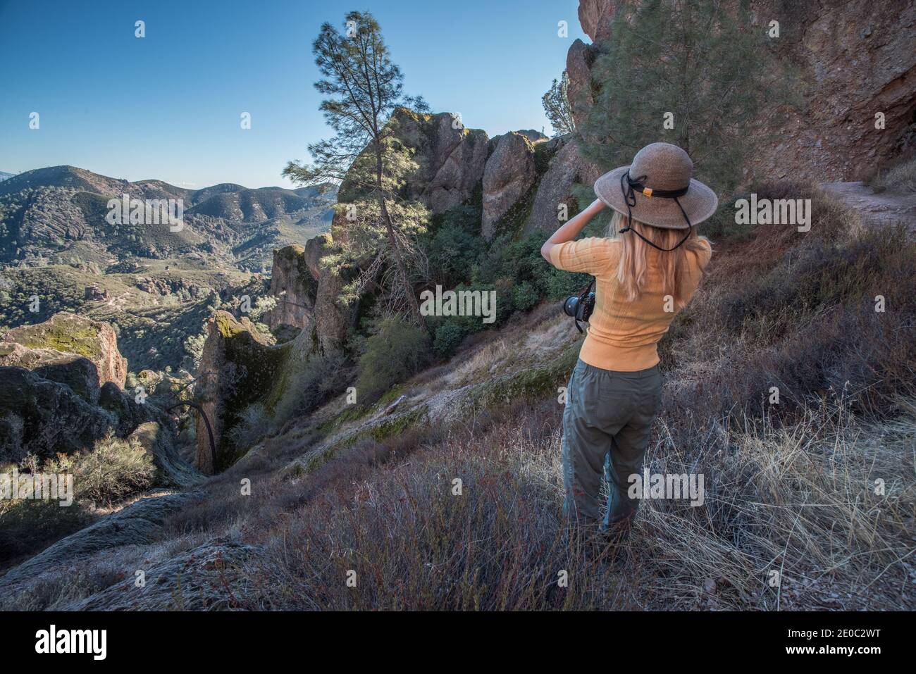 A young woman bird watching with a pair of binoculars in Pinnacles ...