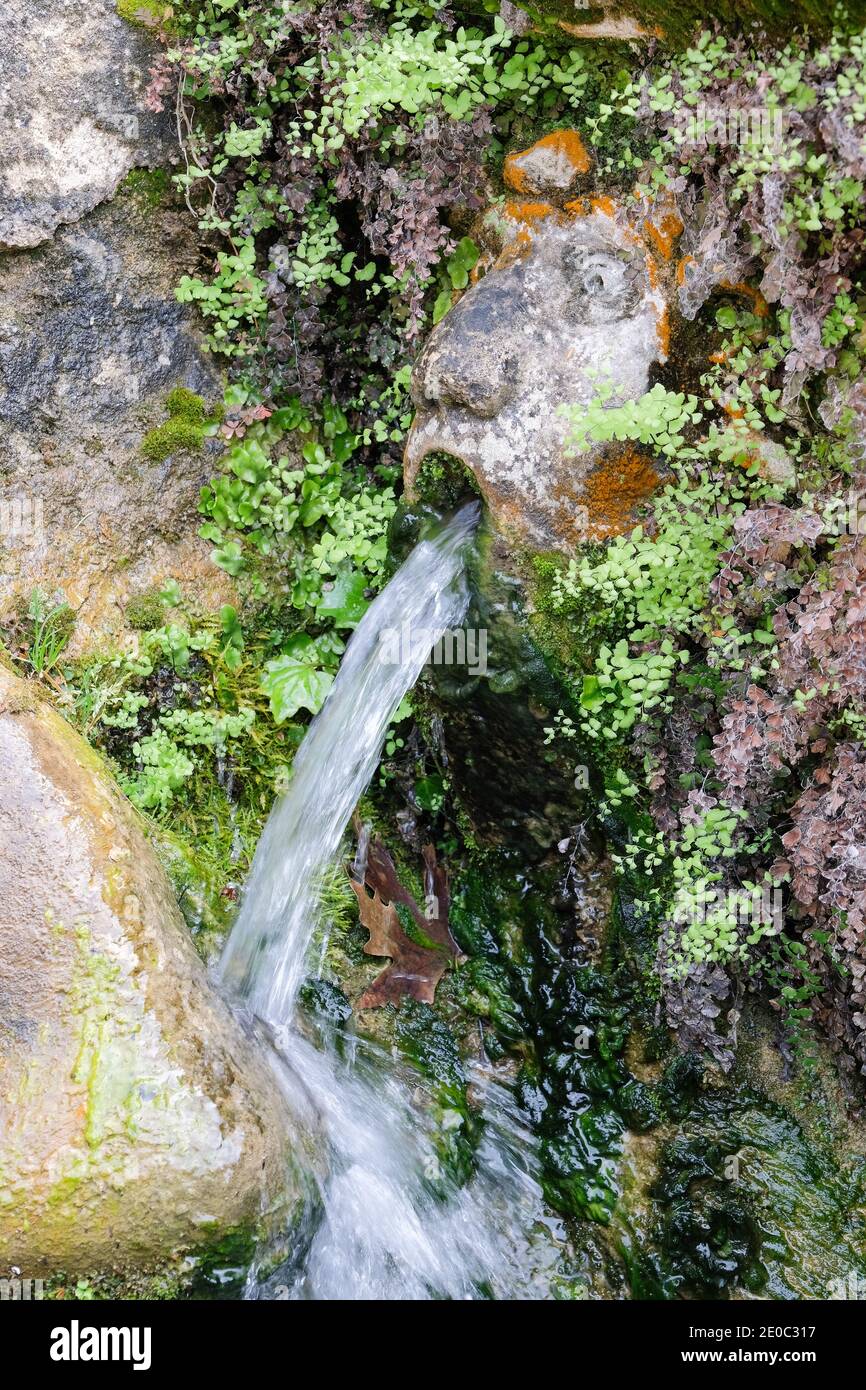 Detail of a spout within the Hundred Fountains (Cento Fontane) in the garden of Villa d'Este, Tivoli, Italy Stock Photo