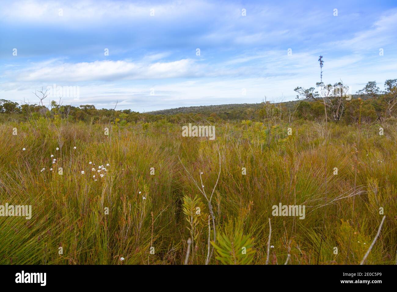 Landscape in the Two Peoples Bay Nature Reserve east of Albany in Western Australia Stock Photo