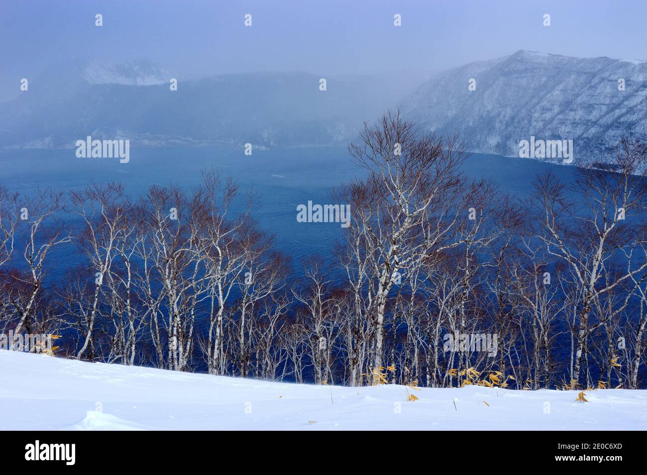 Lake Mashu, endorheic crater lake formed in the caldera of a ...