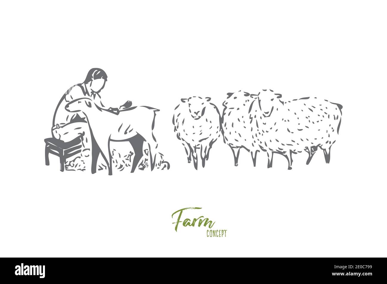 Collecting wool concept sketch. Man, livestock worker, farmer shearing sheep. Looking after farm animals. Countryside lifestyle jobs, responsibilities Stock Vector