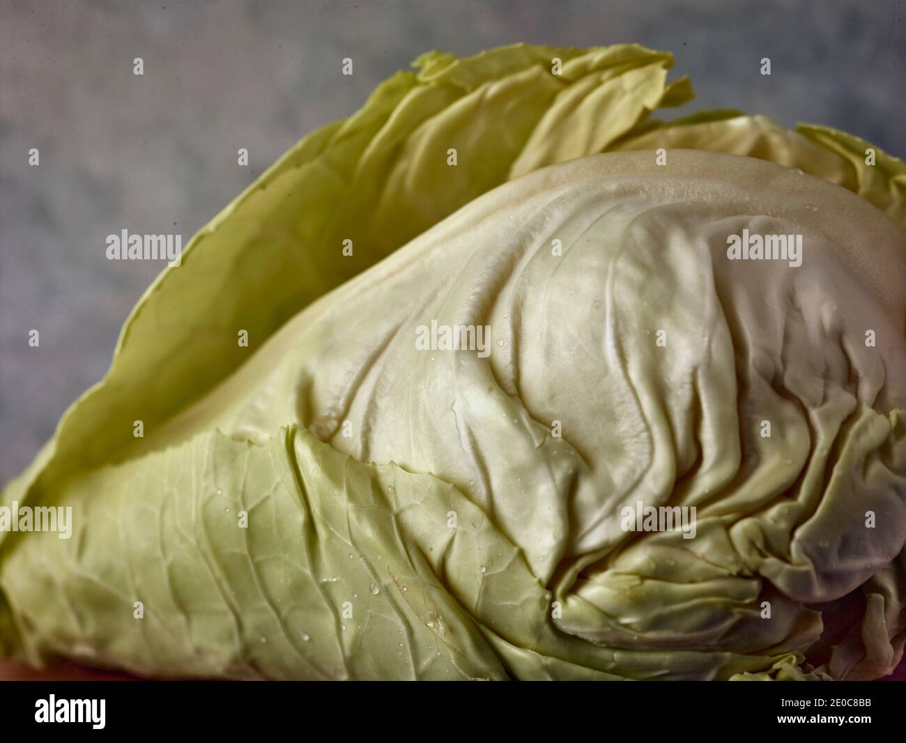 Poultice in ulcers hires stock photography and images Alamy