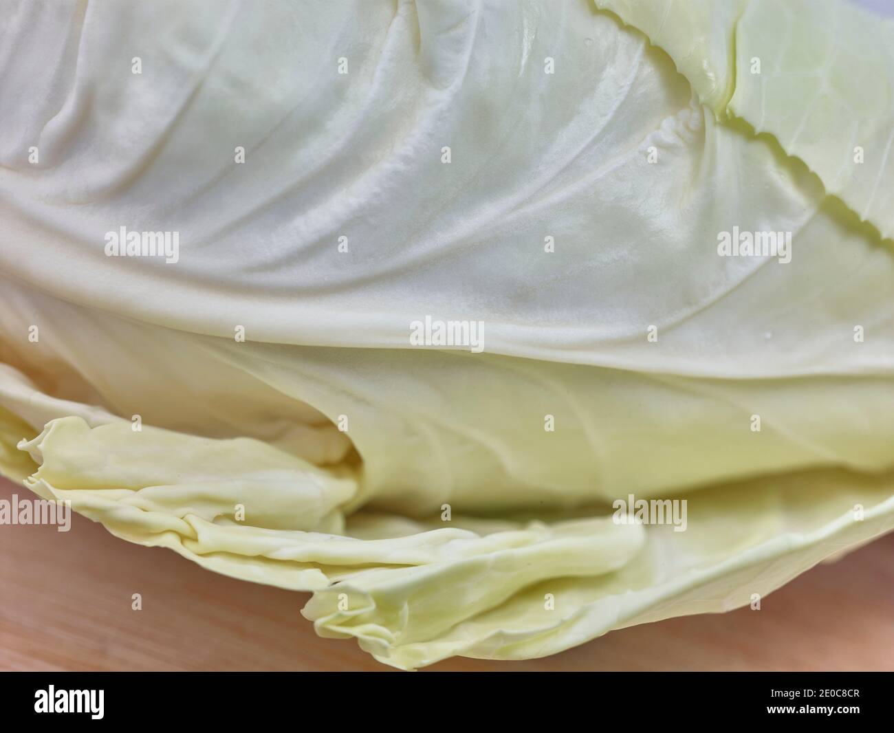 Trench foot disease hi-res stock photography and images - Alamy