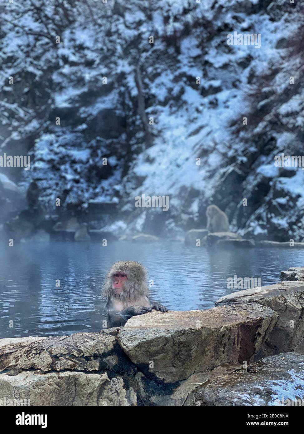 Nagano hot springs hires stock photography and images Alamy
