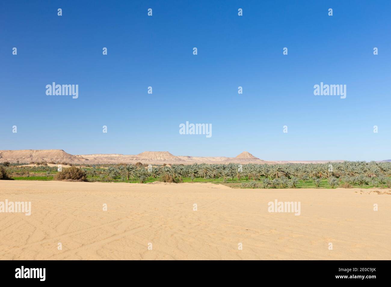 View of Bahariya oasis, Western Libyan Desert, Egypt Stock Photo