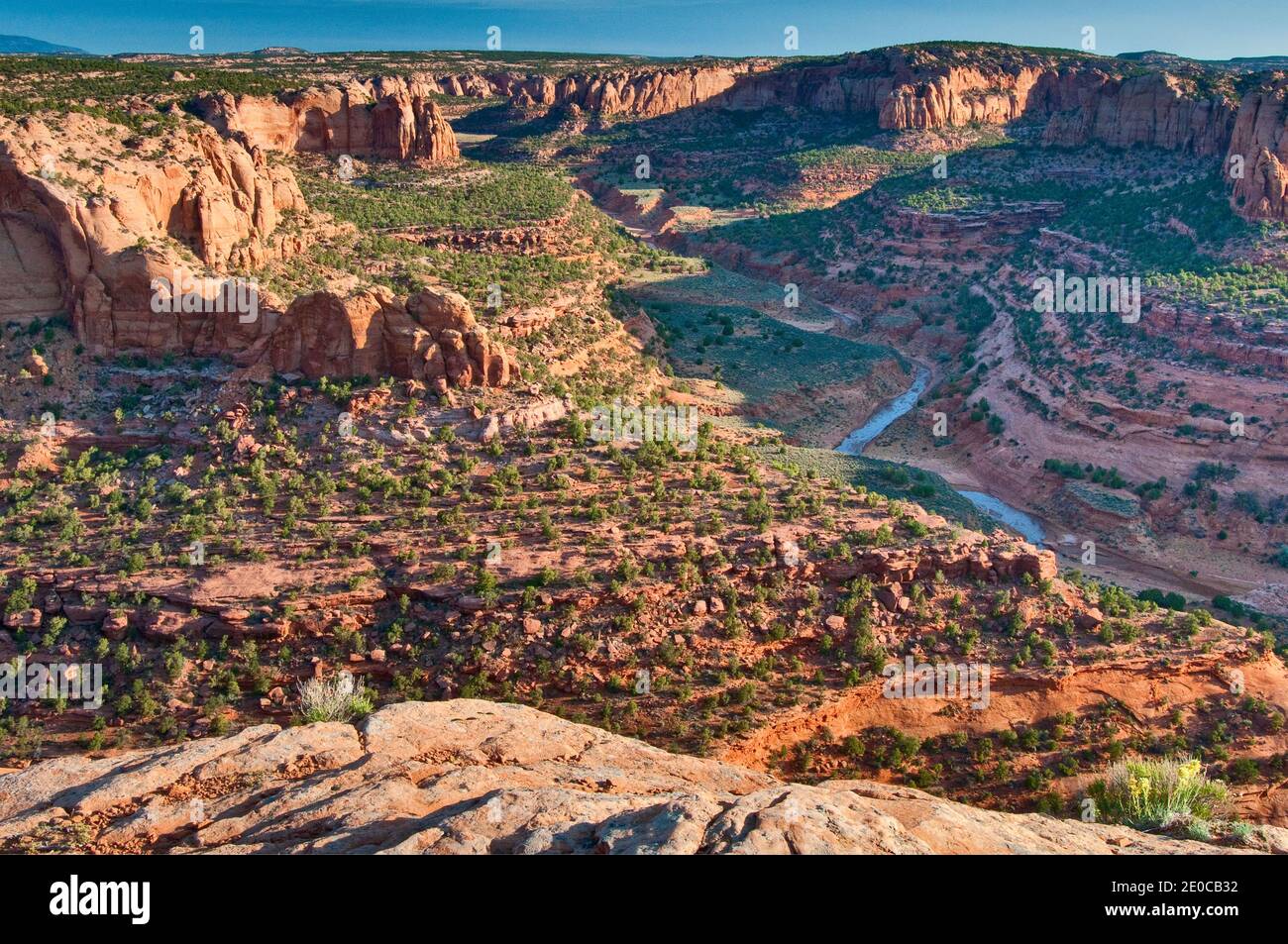 Long Canyon in Skeleton Mesa, Laguna Creek, view from Tsegi Point on