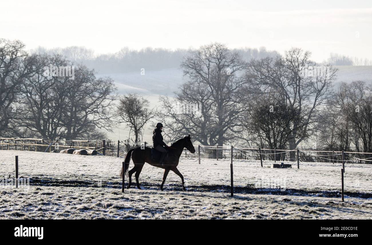 A Horse on the gallops in the snow at Sam Drinkwater's Granary Stables