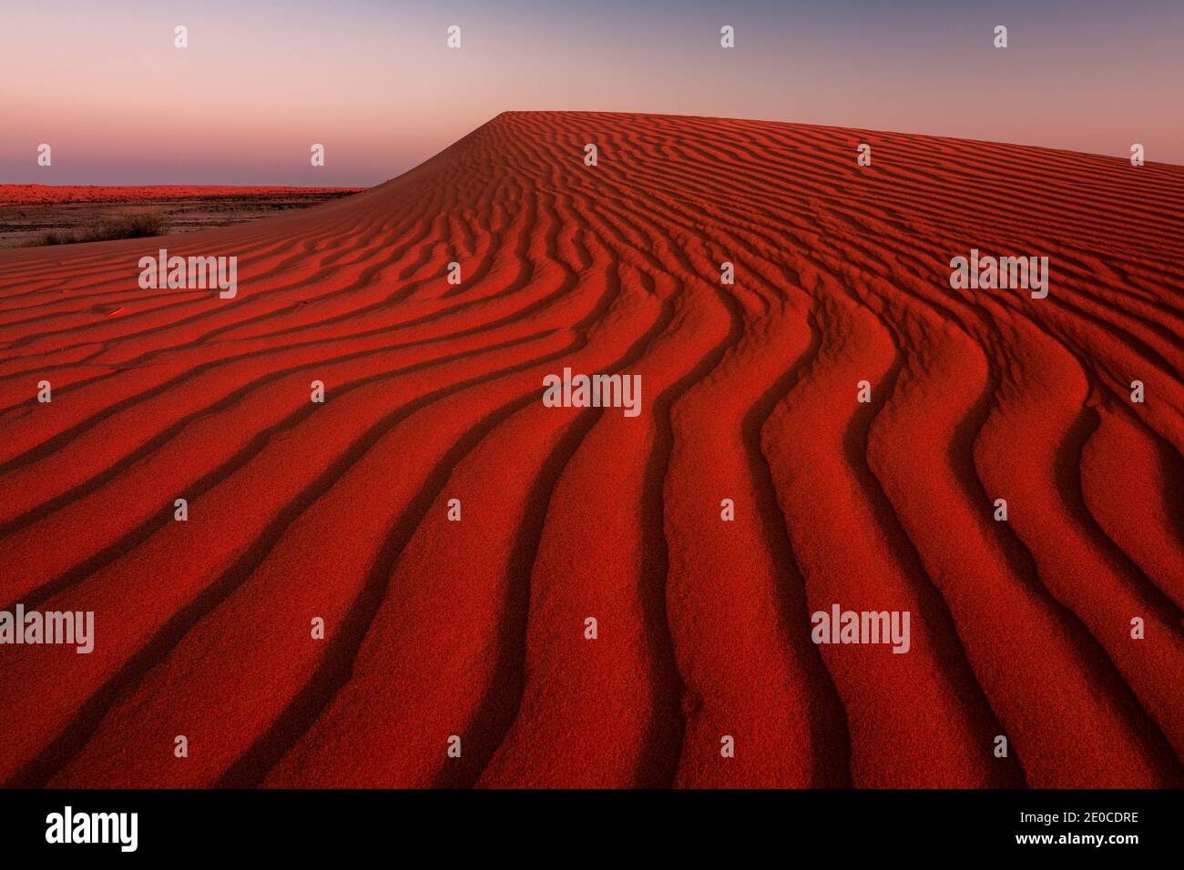 First light on the deep red dunes of Simpson Desert. Stock Photo