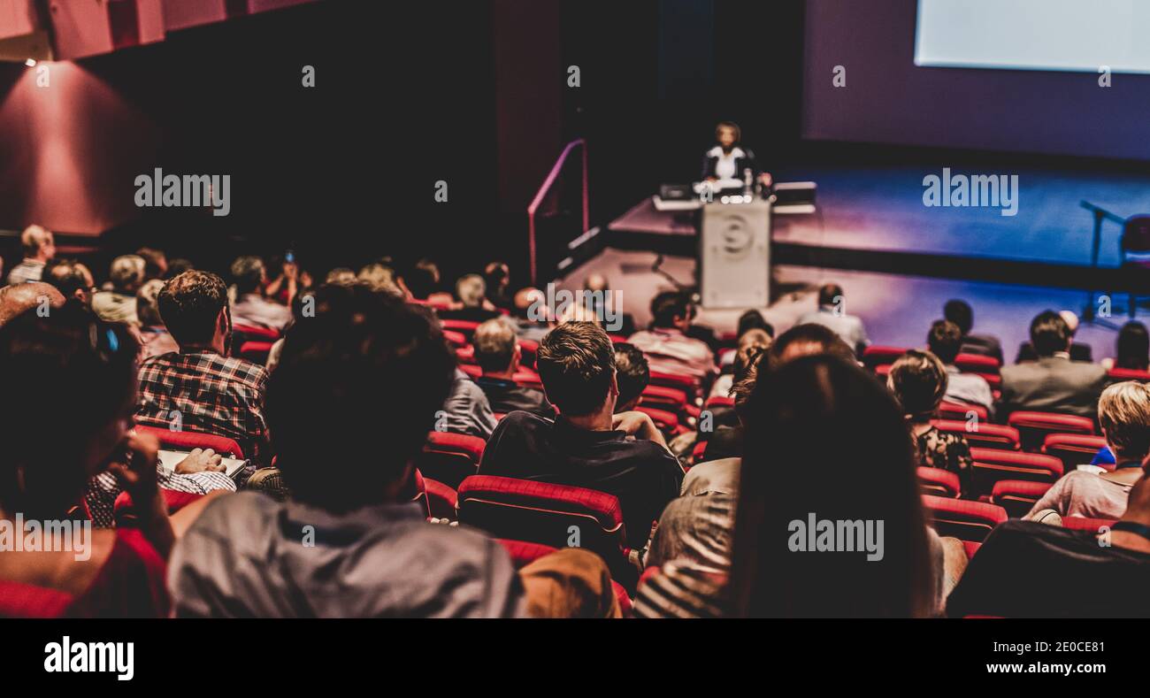 Business speaker giving a talk at business conference event. Stock Photo