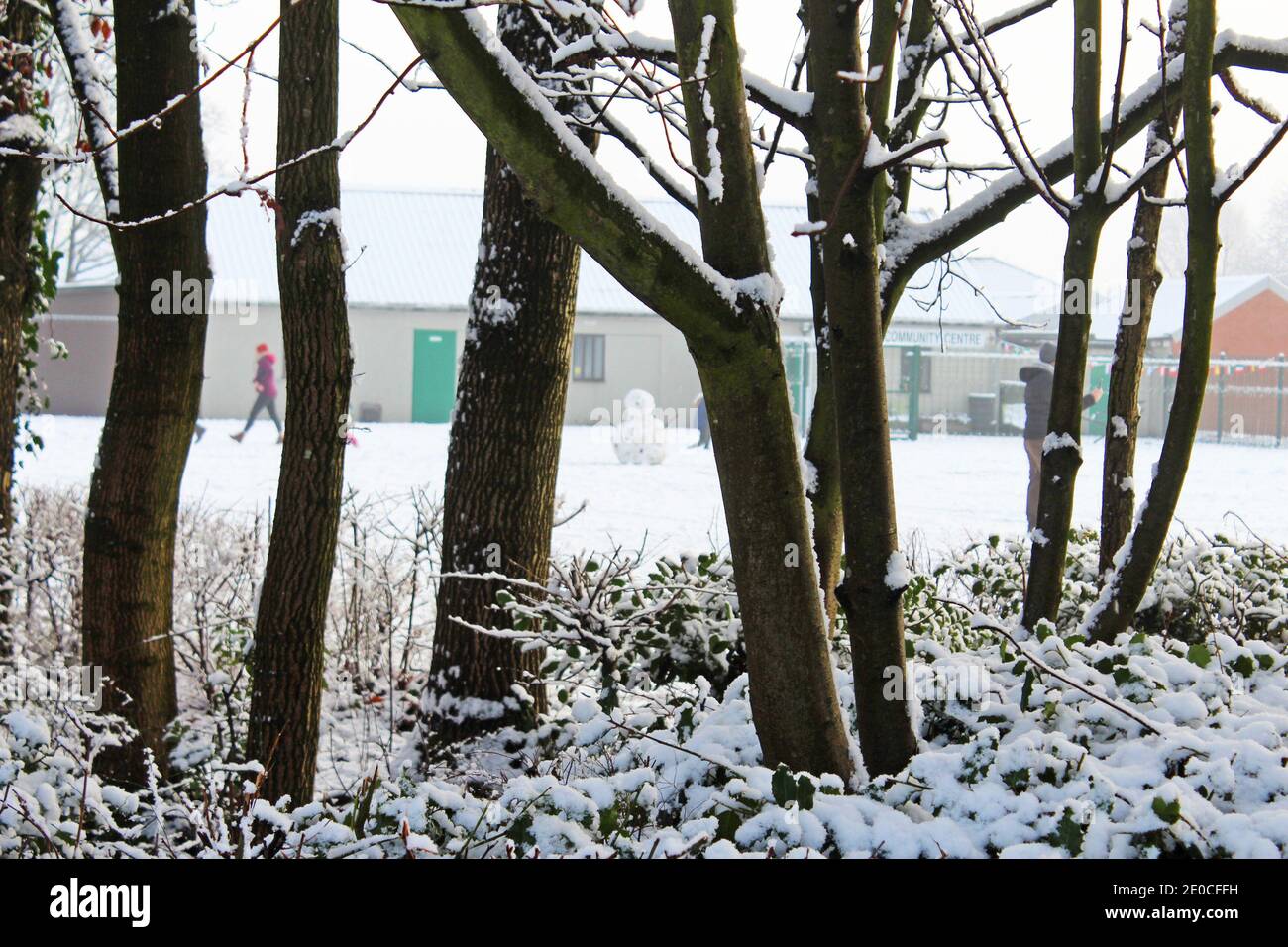 Snow on bushes, trees and branches in park, snow covered, tree trunks, snowman, winter snow day in Manchester, England Stock Photo