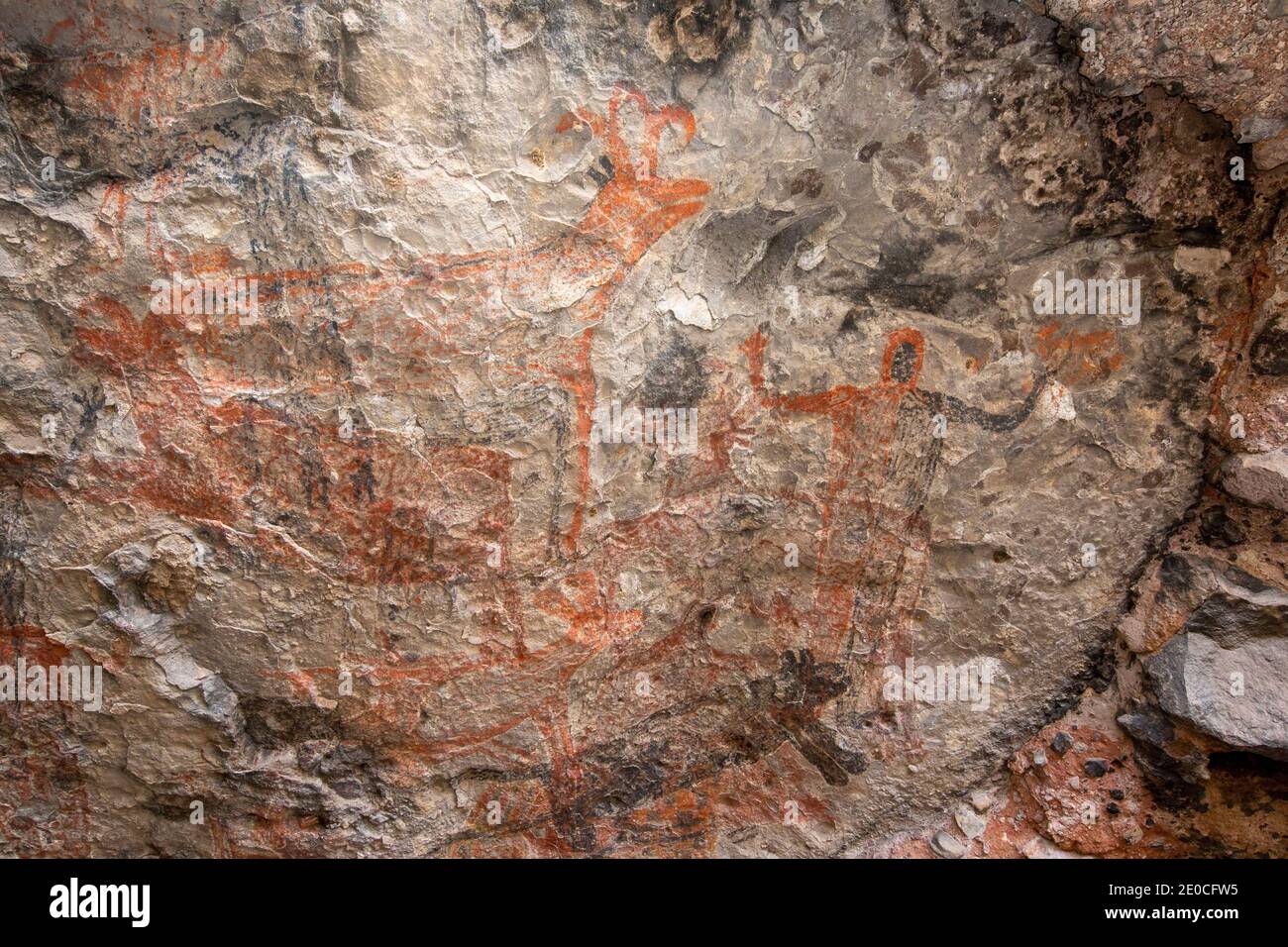Rock art pictographs of the Cochimi people, Cueva del Raton, UNESCO World Heritage Site, Sierra de San Francisco, Baja California Sur, Mexico Stock Photo