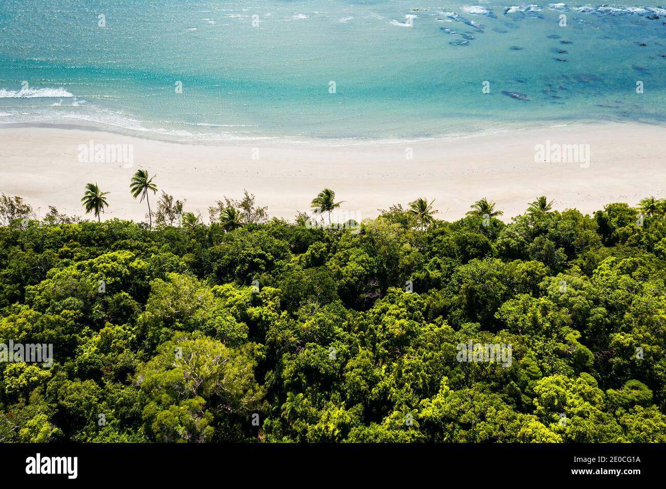 Aerial shot of pristine Myall Beach in Daintree National Park. Stock Photo