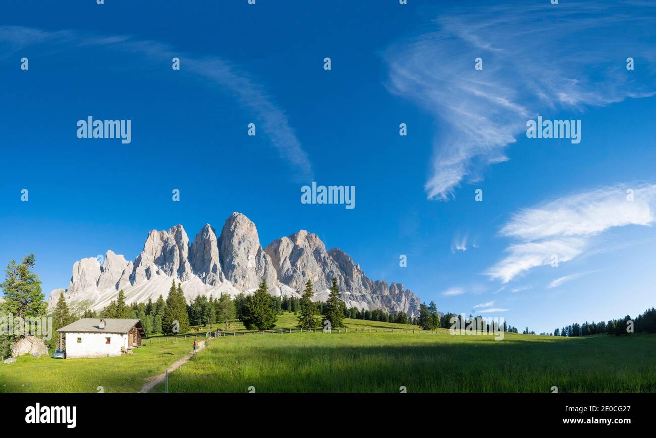 Panoramic of the Odle peaks and green meadows of Glatsch Alm in summer, Val di Funes, South Tyrol, Dolomites, Italy, Europe Stock Photo