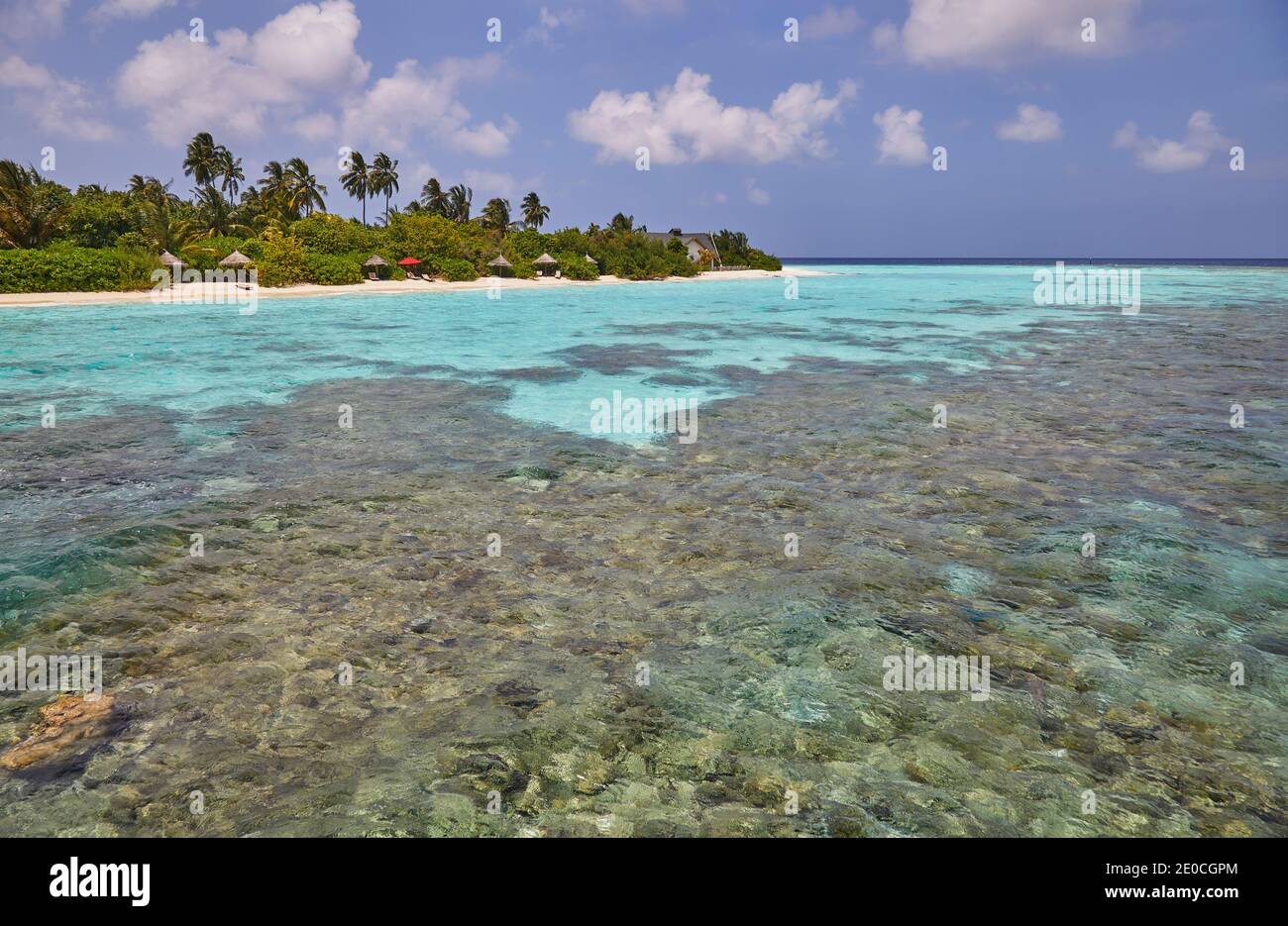 A tropical island fringing reef, just offshore from Havodda island ...