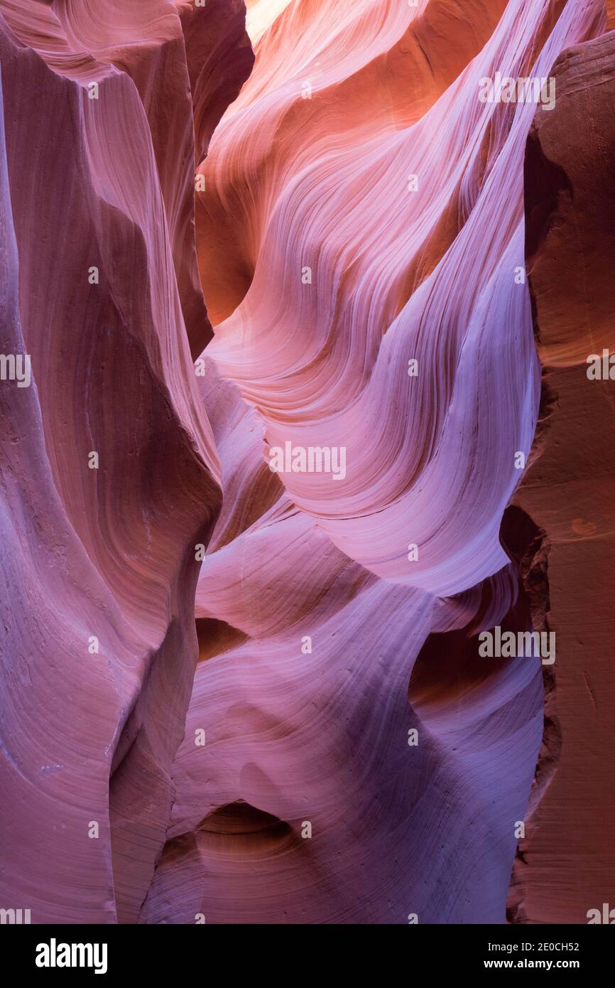 The colourful Navajo sandstone walls of Lower Antelope Canyon, sculpted by water into abstract patterns, Page, Arizona, United States of America Stock Photo
