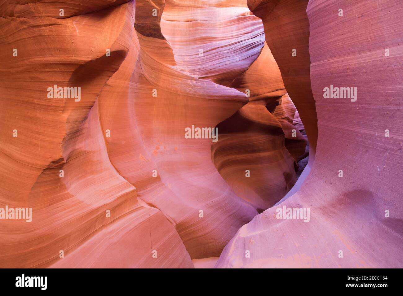 The colourful Navajo sandstone walls of Lower Antelope Canyon, sculpted by water into abstract patterns, Page, Arizona, United States of America Stock Photo