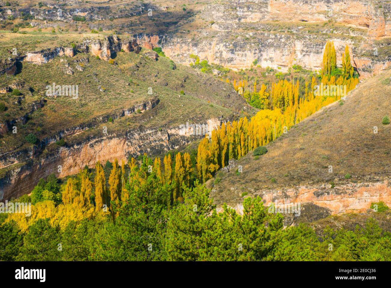 Autumn landscape. Hoces del Duraton Nature Reserve, Segovia province, Castilla Leon, Spain. Stock Photo
