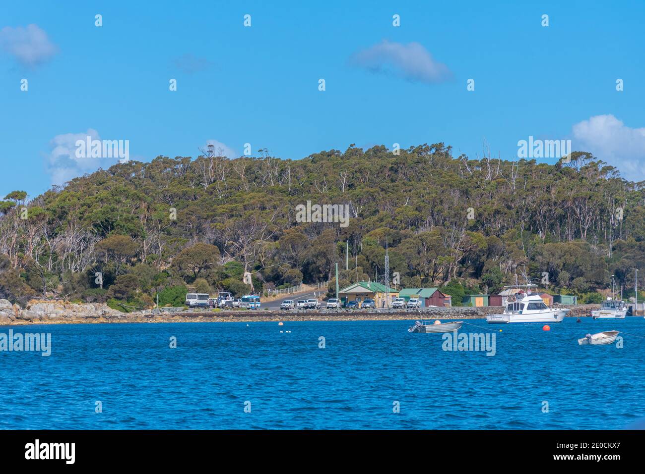 Boats mooring at Pirates bay in Tasmania, Australia Stock Photo Alamy