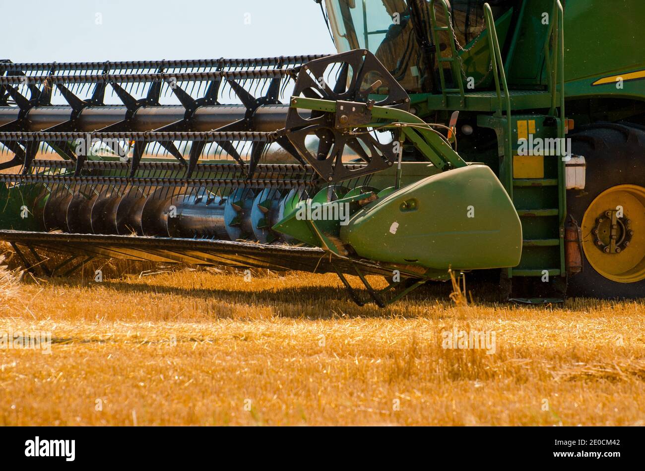 Agricultural machinery collects yellow wheat crop in open field on a sunny bright day Stock Photo