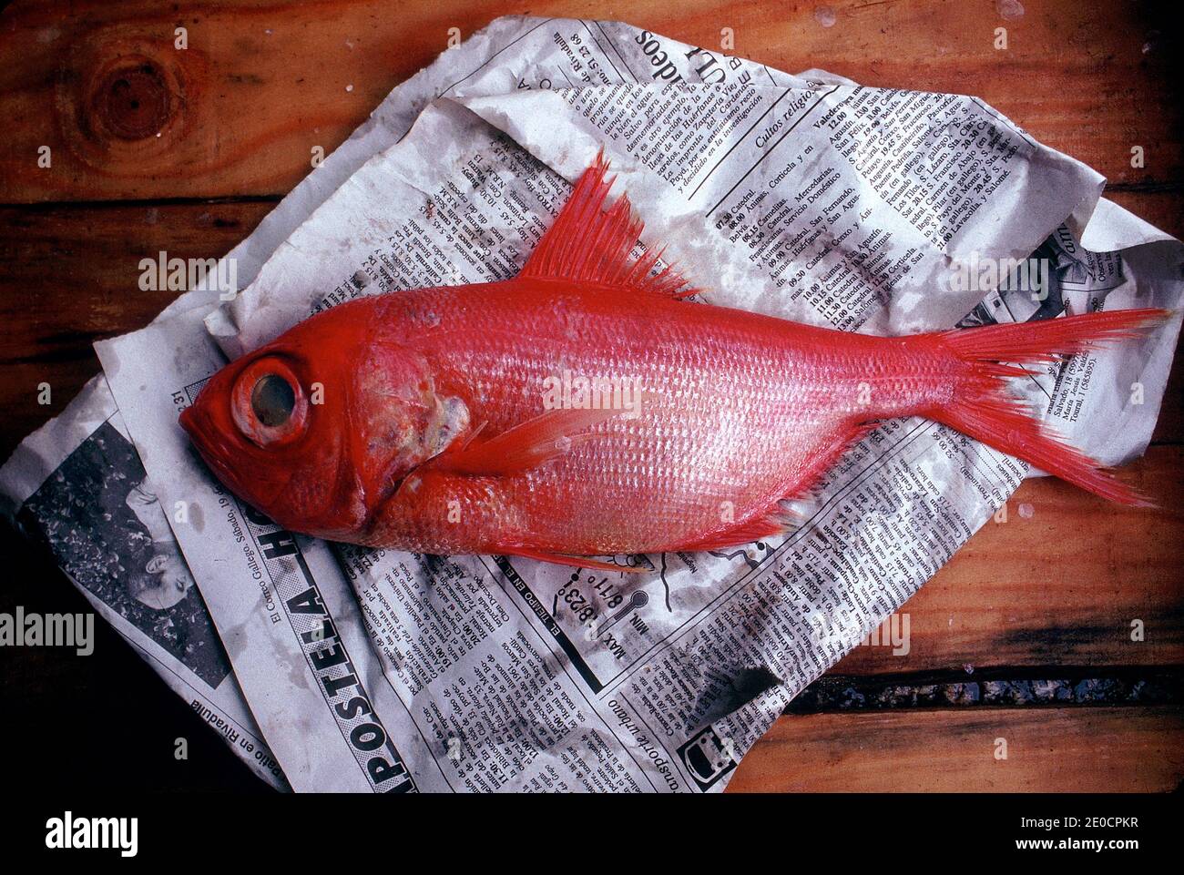 Fish wrapped in newspaper hires stock photography and images Alamy