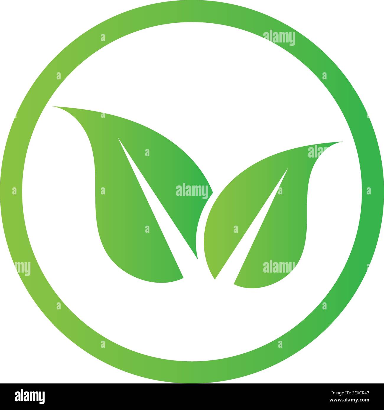 green leaf logo vector Stock Vector Image & Art - Alamy