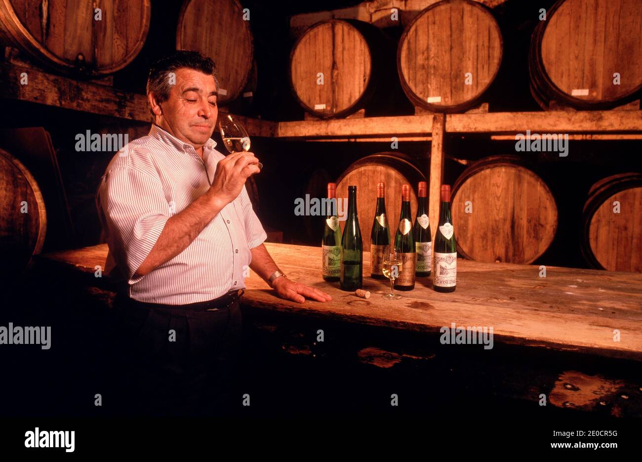 Spain/North Spain/Galicia / Wine grower in his Wine Cellar testing the typical white wine in a village called Cambados. Stock Photo