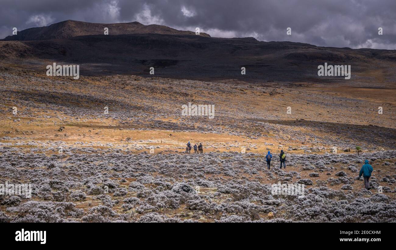 Trekkers on Sanetti plateau, Bale mountains national park, Ethiopia Stock Photo