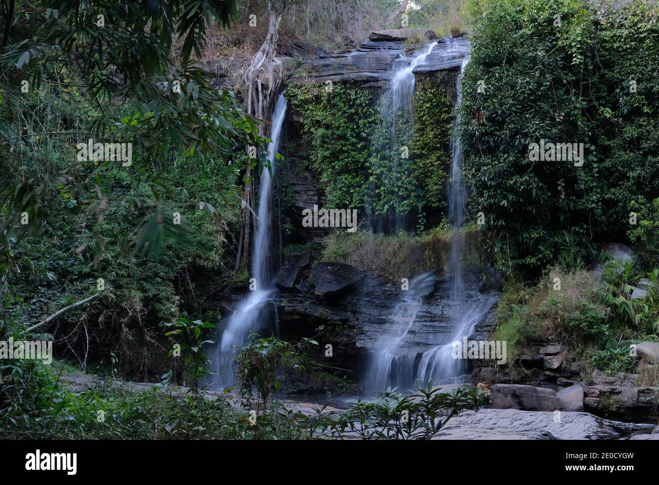 waterfall cascade creek water stream flowing in summer forest Stock ...