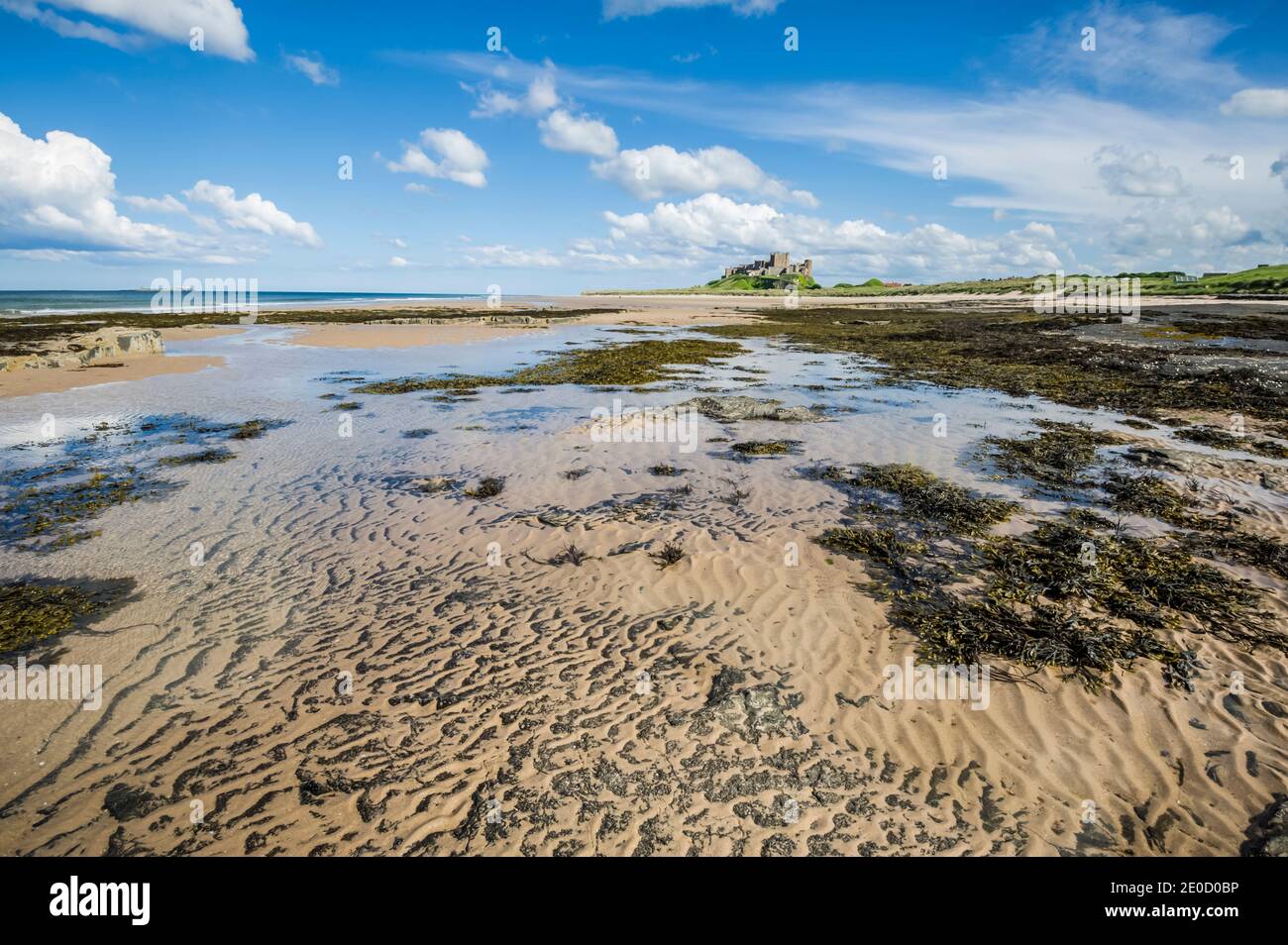 Northumberland. This is the fortress of Bambrugh Castle looking across the sands of Embleton Bay in Northumberland. The castle was the main stronghold against raids by the Vikings during the 11th century and is named after the local village of Bambrugh Stock Photo