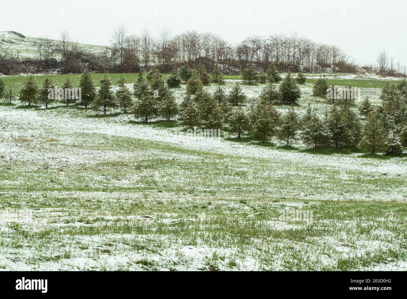 Rural proerty hires stock photography and images Alamy