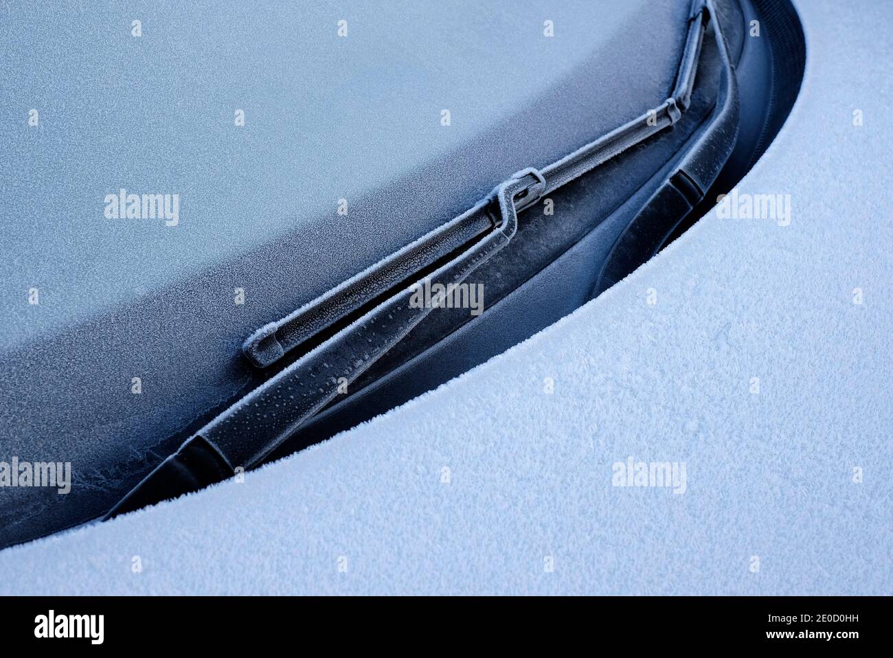 winter frost on car windscreen wiper Stock Photo