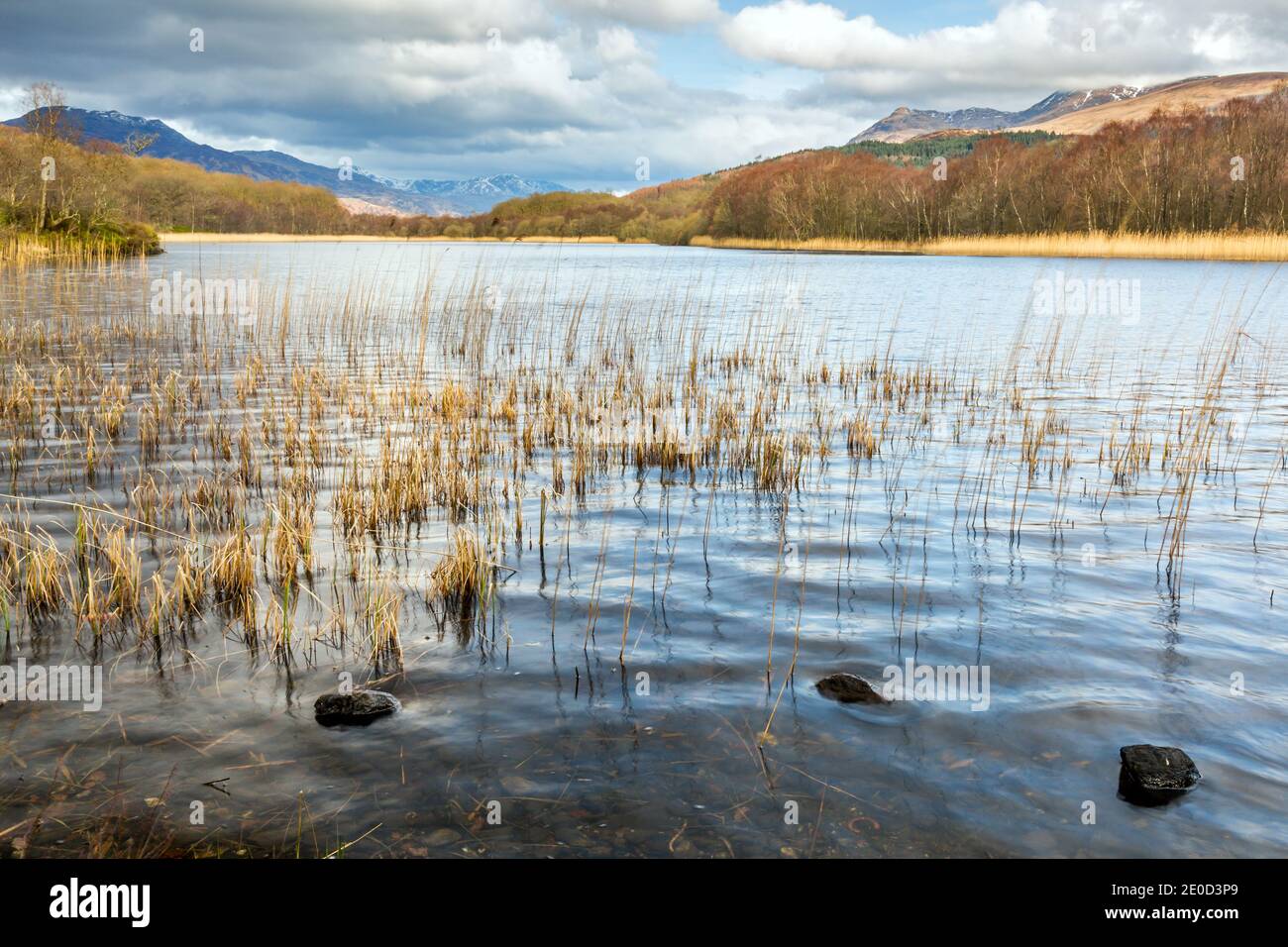 Dubh Lochan with snow covered Ben Lomond in the distance, Loch Lomond and the Trossachs National Park, Scotland Stock Photo