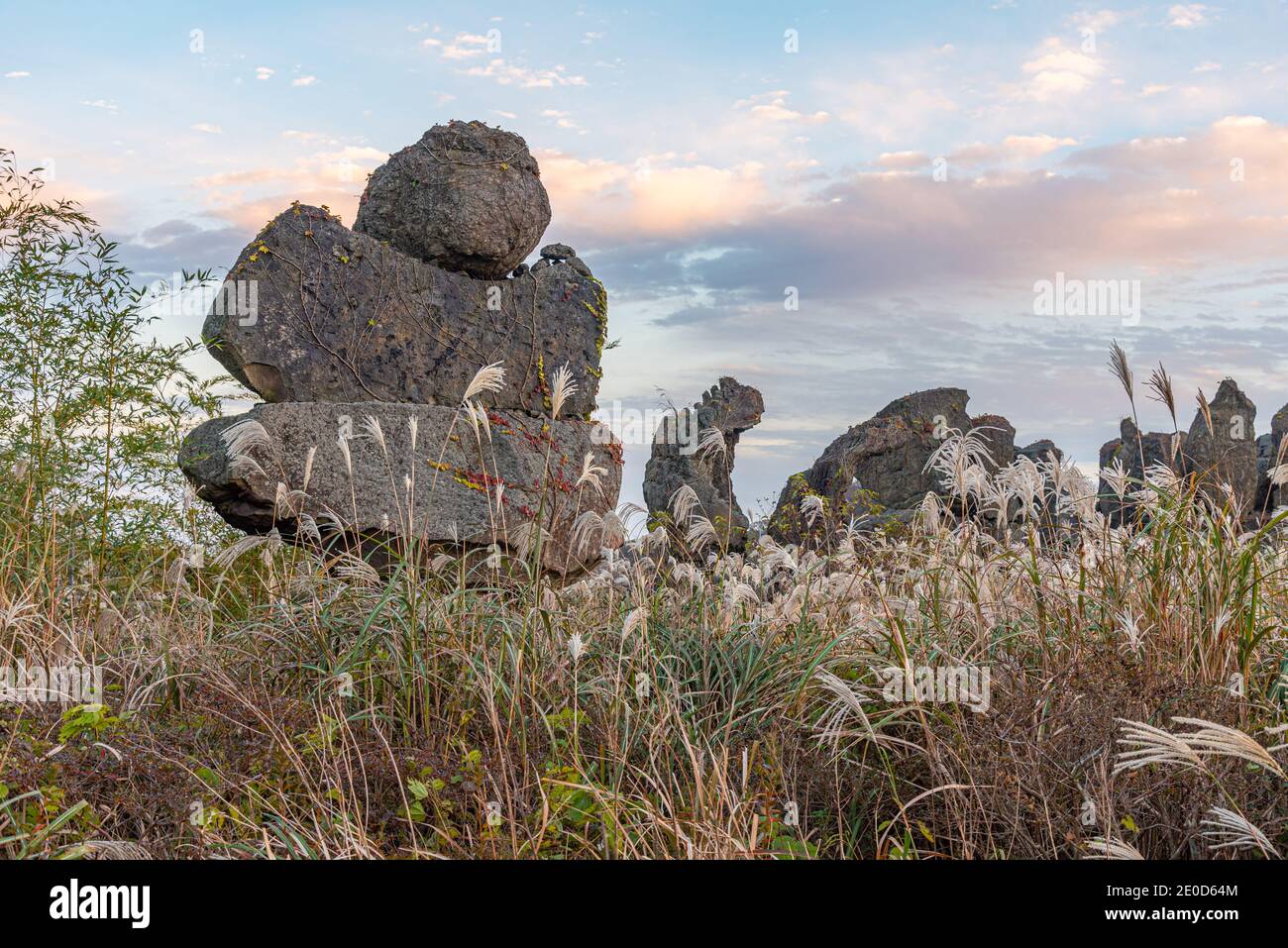 Dongjasok - stone guardians at Jeju stone park, republic of Korea Stock Photo