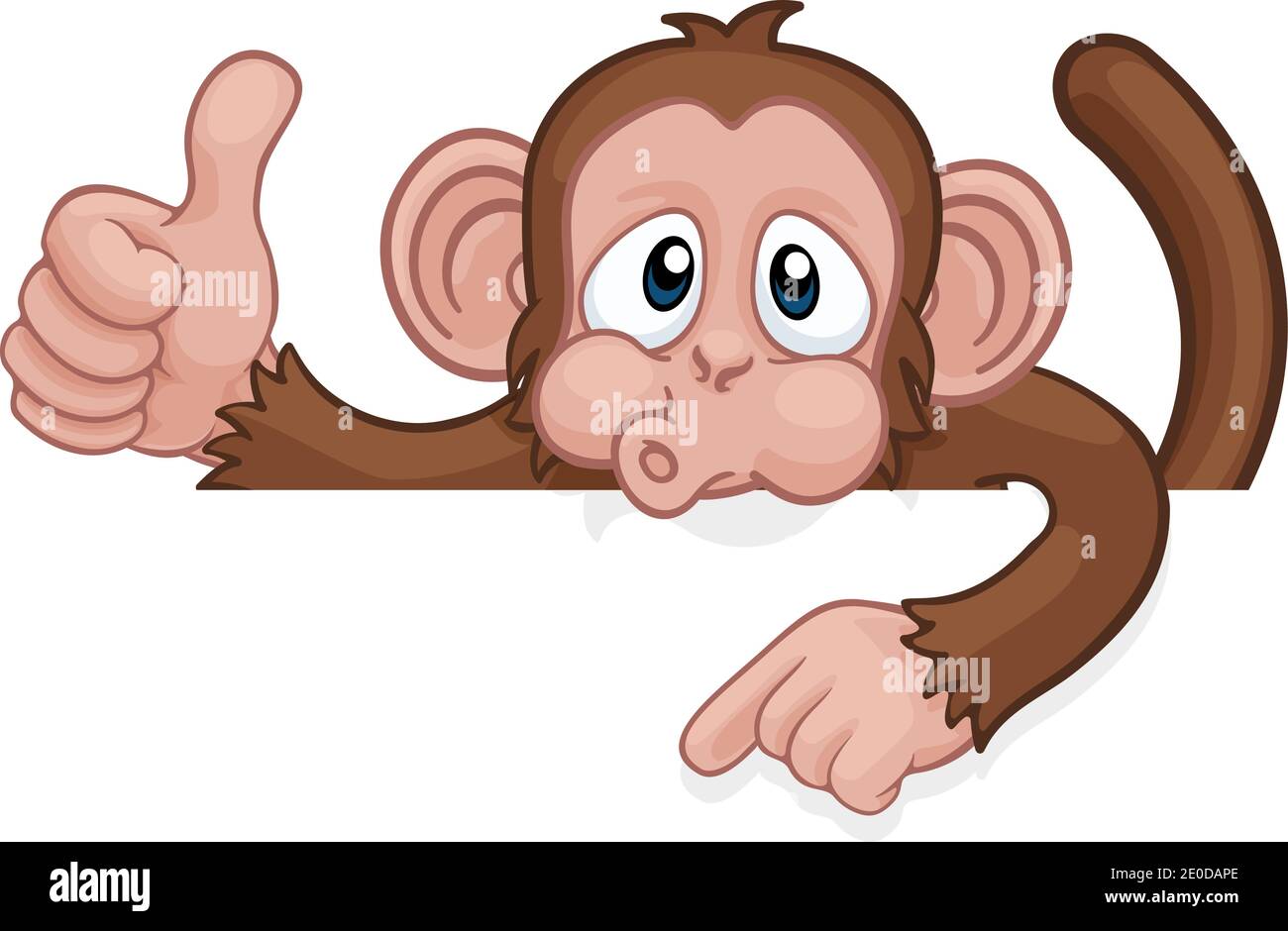 Monkey Cartoon Character Animal Pointing At Sign Stock Vector Image & Art -  Alamy