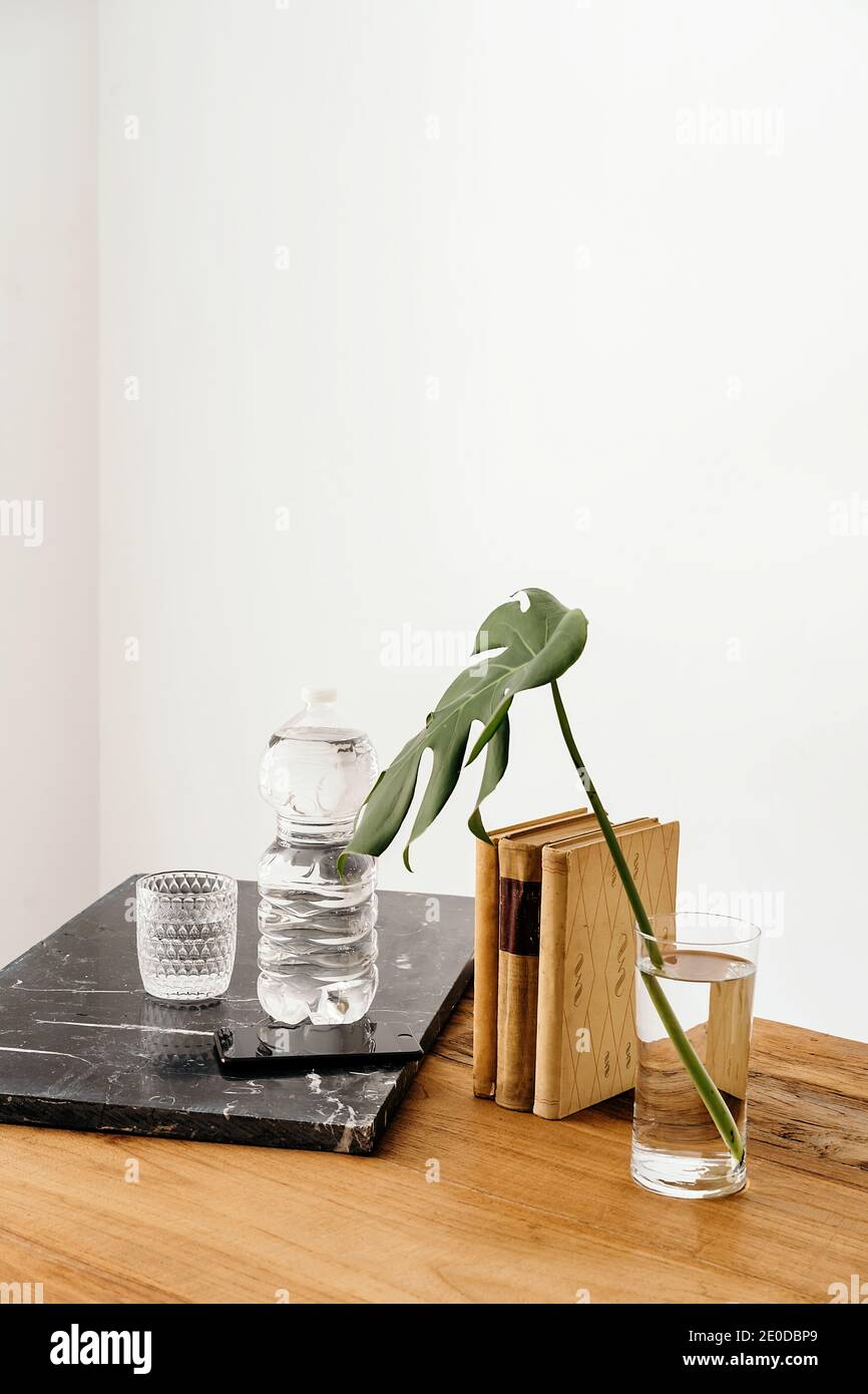 Fresh green monstera stem in vase arranged on wooden table near full ...