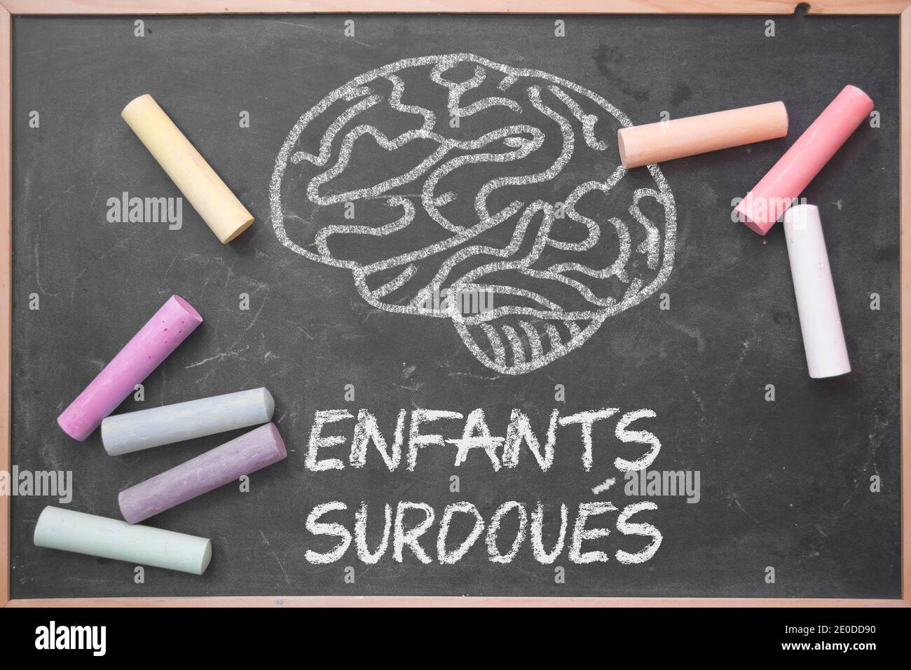 Gifted Children words written in French. Education concept on a blackboard in a classroom. Brain drawing and some colored chalk on a chalkboard Stock Photo