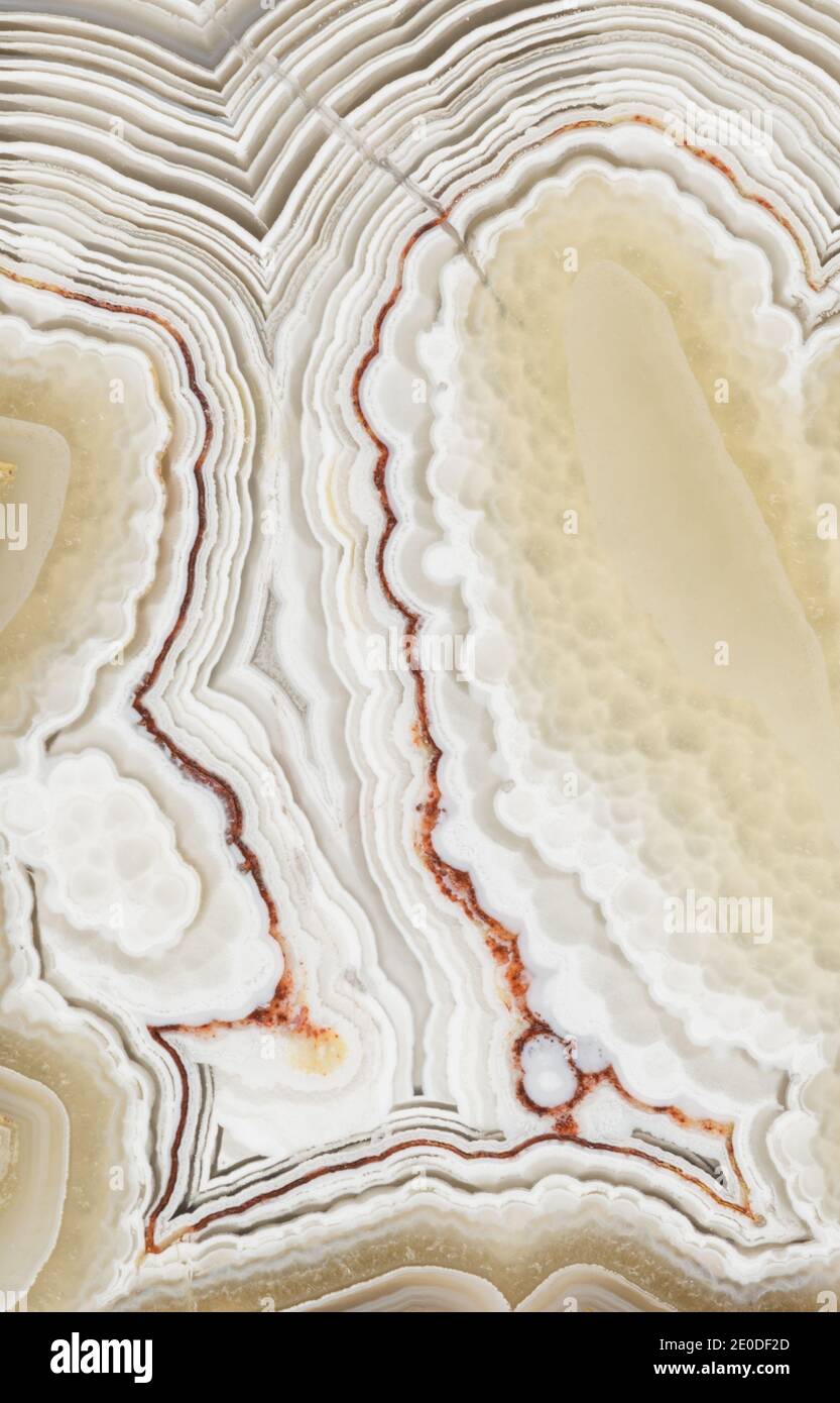 Macro photograph of the banding pattern in a laguna lace agate from ...
